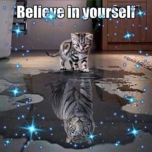 Meet your Posher, Jilayne